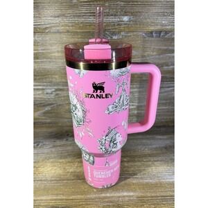 Stanley x Wicked  For Good 40oz FlowState Quencher Tumbler Ozian Reprise In Hand